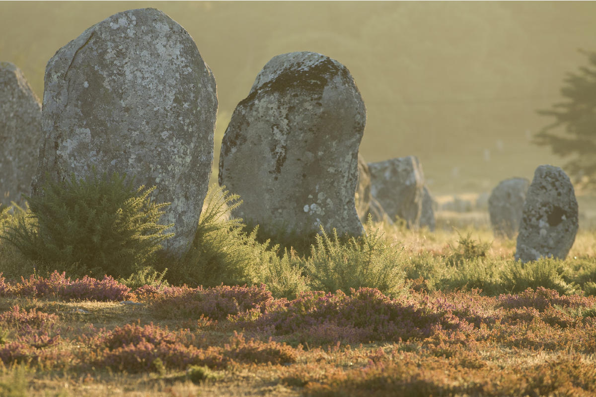 Les Dolmens de Carnac témoin d'un passé Millénaire Dolmen de Carnac